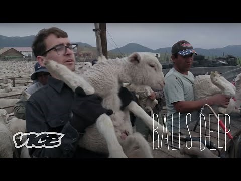 Learning to Ranch & Castrate Sheep with My Teeth | Balls Deep Season 2 Episode 3