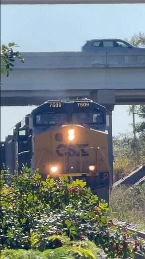 CSX B339 Horn Blasting and Charging Hard into Yeoman Yard in Tampa, Fl! #trains #freight #railfan