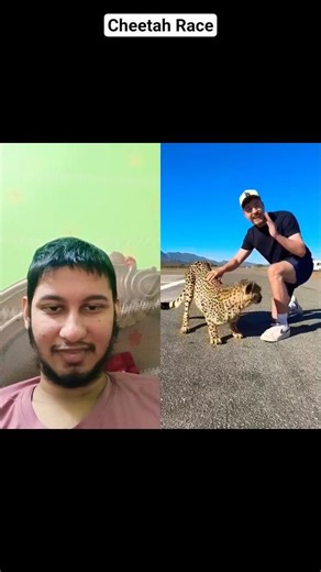 Cheetah Race vs Human Experiment Video #shorts | Kazisilo Media #mrbeast