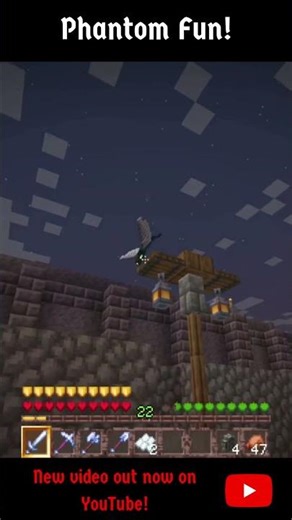 what do phantoms even do? #minecraft