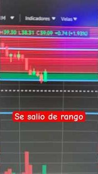 El bot se salió de rango por debajo PIERDO DINERO 😱 | Reto 30 días Pionex Día 23