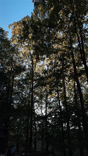 The tables are full at the end of opening day of this years’ Becoming Wholehearted Women’s Retreat! 50 women from all around the world just arrived on our campus today, full of expectancy and hope for the days ahead. We anticipate the way that God’s presence will saturate these hours as He marks each heart with WORTH! | Cageless Birds