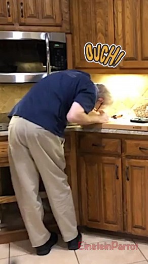 Jeff's Head Bump Incident: A Parrot's Hilarious Antics