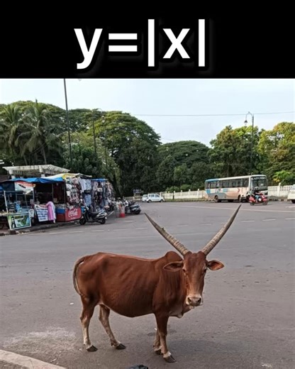 cistales on Instagram: "Non differentiable at 2 points 🥺 Cred:r/JEENEETards"