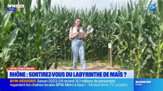 L'été chez nous: sortirez-vous du labyrinthe de maïs?