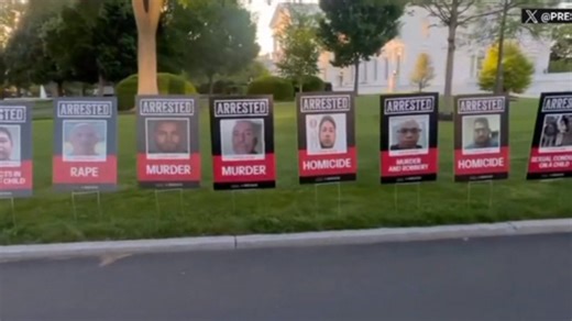 Sky News host James Macpherson discusses the White House “advertising” the crimes illegal immigrants have committed. | Sky News Australia