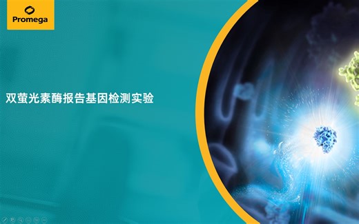 Dual-Luciferase®双荧光素酶报告基因检测实验