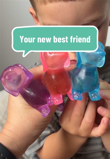 Discover the Best Sensory Dachshund Jelly Toy