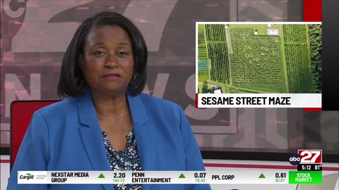 Local orchard unveils massive Sesame Street corn maze