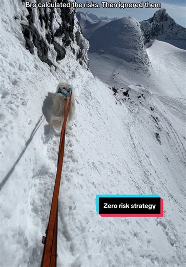 Zero Risk Strategy for Hiking with Dogs