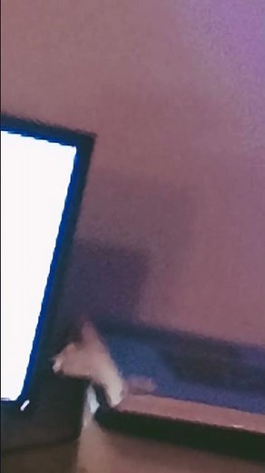 Squeak baby first lots of feet