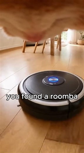 POV cat vs roomba