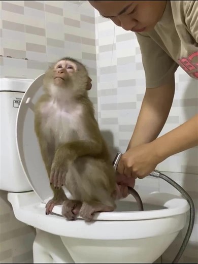 Mom Helping Monkey Lyly With The Potty Time