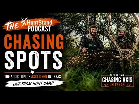 Chasing Axis Deer in Texas | Live from Hunt Camp with Casey Sanford - #254