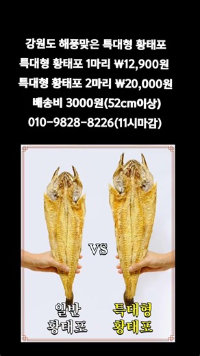 [똑손산지직송]특대형 황태포 찾으셨던분들 ~