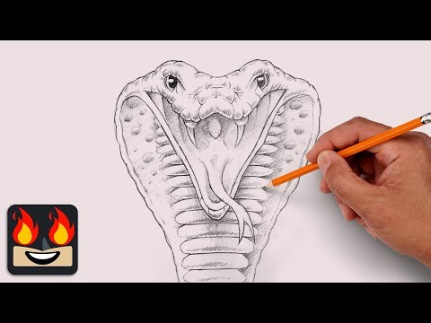 How To Draw King Cobra Snake | Sketch Tutorial (Step-by-Step)
