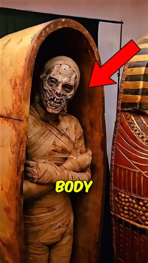 What They Did To Your Body in Ancient Egypt 😳 ⚰️#AncientEgypt #Mummies #HistoryFacts ⚰️