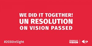 UN General Assembly commits countries to eye care for all by 2030 - The International Agency for the Prevention of Blindness