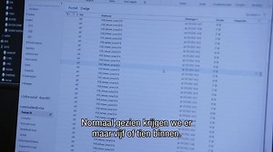 VRT ontvangt tien keer meer weerbeelden na "Vrede op aarde". Bekijk hier hoe je een goed weerbeeld maakt: | VRT NWS