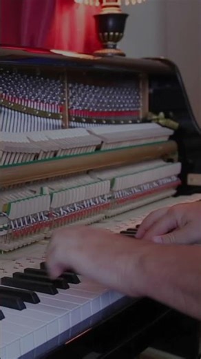 Dizzy Fingers | David Hicken