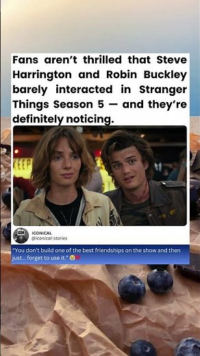 Fans aren’t thrilled that Steve Harrington and Robin Buckley barely interacted in Stranger Things