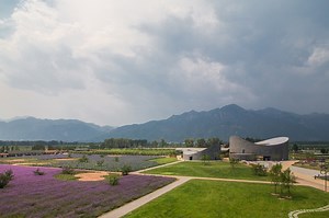archea associati masterplans the yanqing grape expo in china