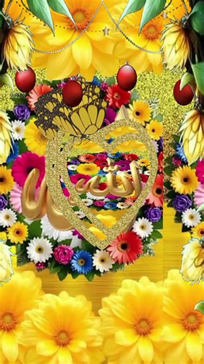 Ms Shahela (@ms.shahela7)’s videos with original sound - Jamila akter