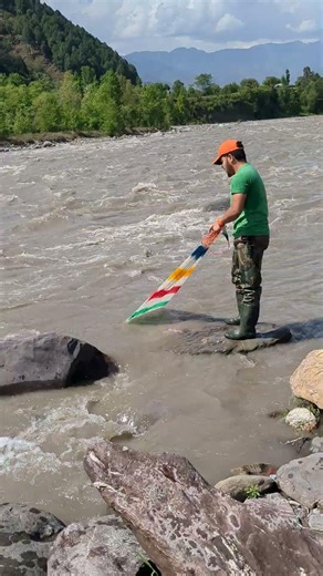 언제 섬진강 수초 빈틈에서 그물 던지나요? 🎣