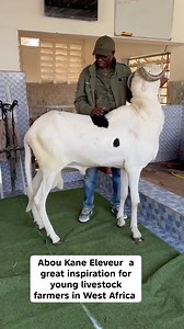 13 reactions | Abou Kane Éleveur is truly a great inspiration for...