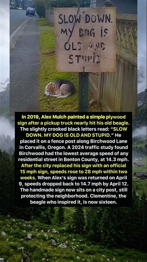 A Handmade Sign Changed Everything