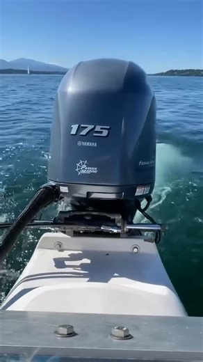 Global outboard 007 motors on Instagram