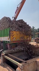 Making Of Sabudana In Mega Factory | Food Gyankosh