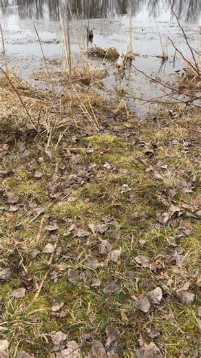 Don’t just prepare for Shtf 😵‍💫