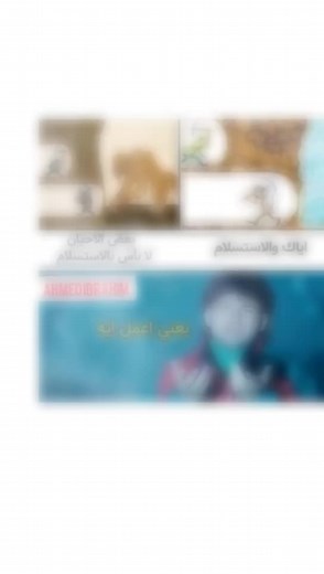 user06561597976 على TikTok