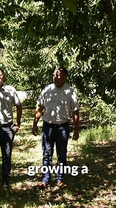 Farmers across the country face tough challenges like extreme weather, high costs and uncertain prices. For many, #cropinsurance is essential to keeping their farms running year after year. “As a farmer, the only thing you know for sure is that you’re going to spend a lot of money and work hard. Crop insurance is the only risk mitigation tool they have to ensure they can come back and do it another year,” says Kyle Mahuika, crop insurance agent in Washington state. | Crop Insurance Keeps America