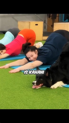 The Yoga Dog That Stole Everyone's Heart