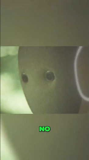 Neo: The Home Robot That Does ALL Your Chores?!