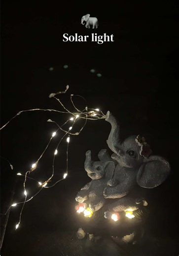 Cute Solar Lights for Patio and Garden Decor