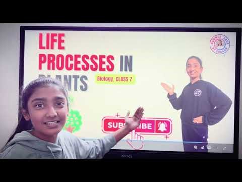 Life Processes in Plants 🌱 | Nutrition, Respiration & Transport Explained