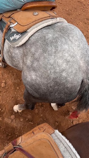 rumor has it that he never paid😉🤪@How’d.jackson #cowboy #fyp #western #rodeo #boyfriend #horses