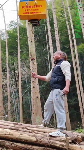 This Logging Skyline Operation Is INSANE! 🪵