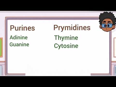 DNA code of life (nucleotide of a DNA molecules)🔥👻