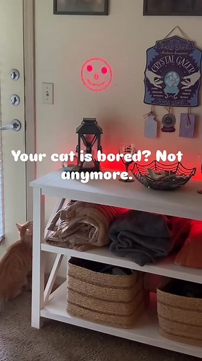 Make your cat go WILD with the Rechargeable LED Pattern Laser Toy! This viral interactive laser keeps your cat active, entertained, and mentally stimulated — all without you lifting a finger. ✨ 5 unique patterns to keep playtime exciting 🔋 USB Rechargeable — no batteries needed 🐾 Perfect for indoor exercise 💡 Safe LED light design 🎉 Hours of fun for cats of all ages Give your kitty the playtime they deserve — and enjoy watching them zoom across the room. Limited-Time Deal: Free shipping toda