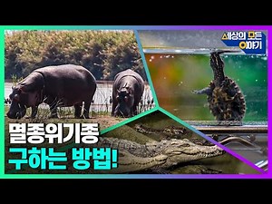 세계 각국 멸종위기종 동물들을 구하는 방법!ㅣ세모이 [44회] / YTN2