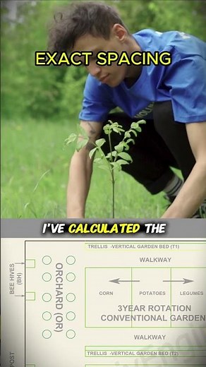 Orchard Spacing Secrets! 🍎 #shorts #gardening #tips
