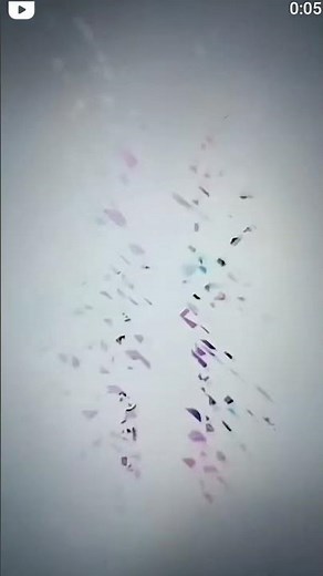 Funimation Entertainment Logo History