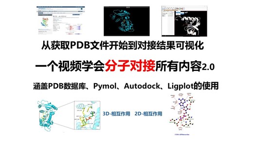 一个视频全教会系列之分子对接2.0