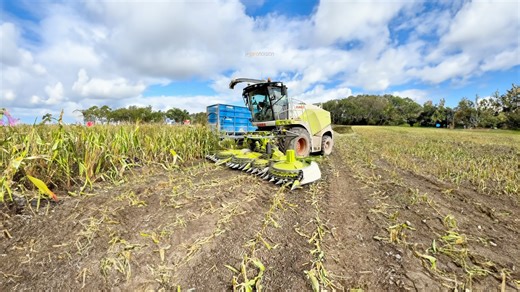 Farm harvesting operations