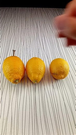 I Made Electricity From a Lemon 🍋⚡