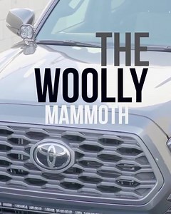 25 reactions · 5 comments | Take on the biggest drying challenges with the Woolly Mammoth Drying Towel! The Woolly Mammoth is our thickest, plushest, and softest microfiber drying towel out yet that can dry any ride no matter how big or wide. The Woolly Mammoth is super absorbent and soaks up all the water left on your ride with ease! The super soft microfiber material makes drying even the most sensitive finishes extremely safe and enjoyable. | Detail Garage | Facebook